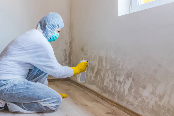 Mold Remediation specialist working in Williamston